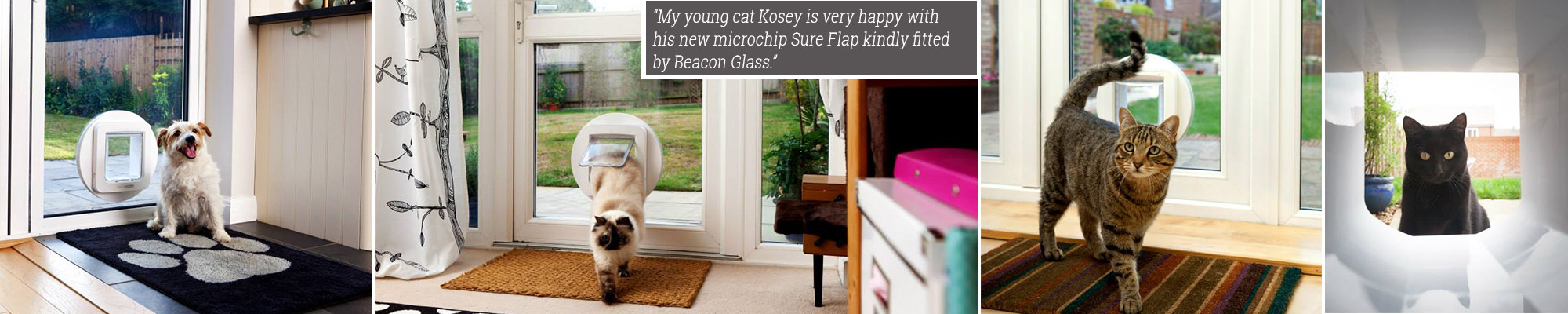 Cat Flap Installer