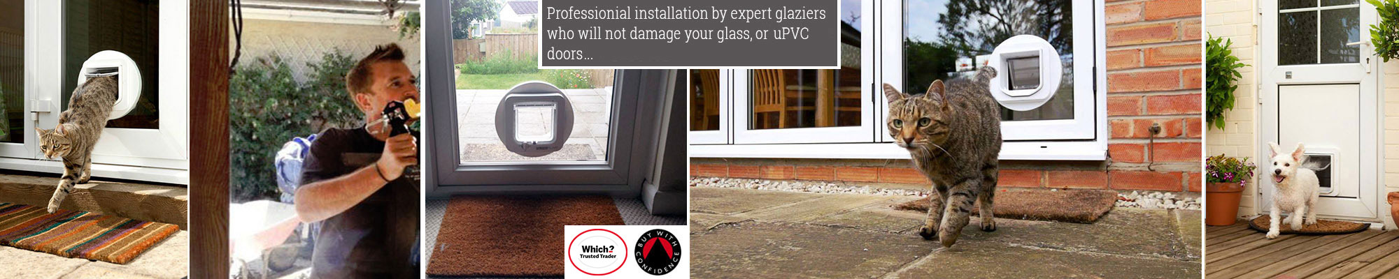 Cat Flap Installer