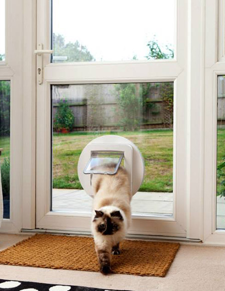 Cat Flap Installer
