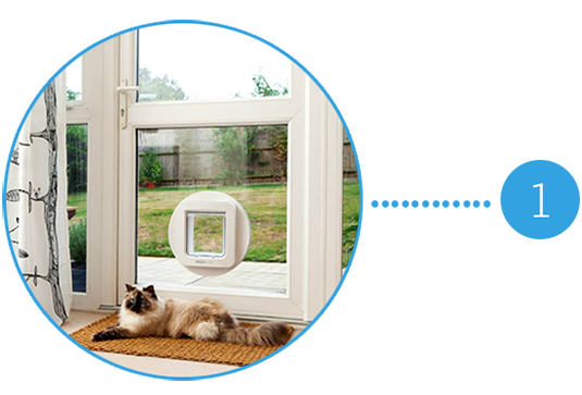 Double Glazing Cat Fkaps