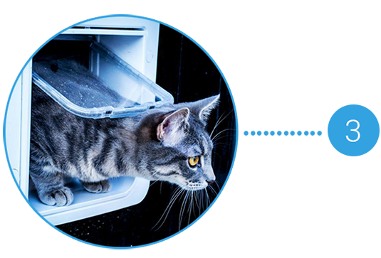 Double Glazing Cat Flaps